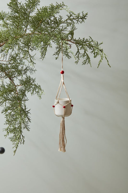 Macramé Tillandsia Holder