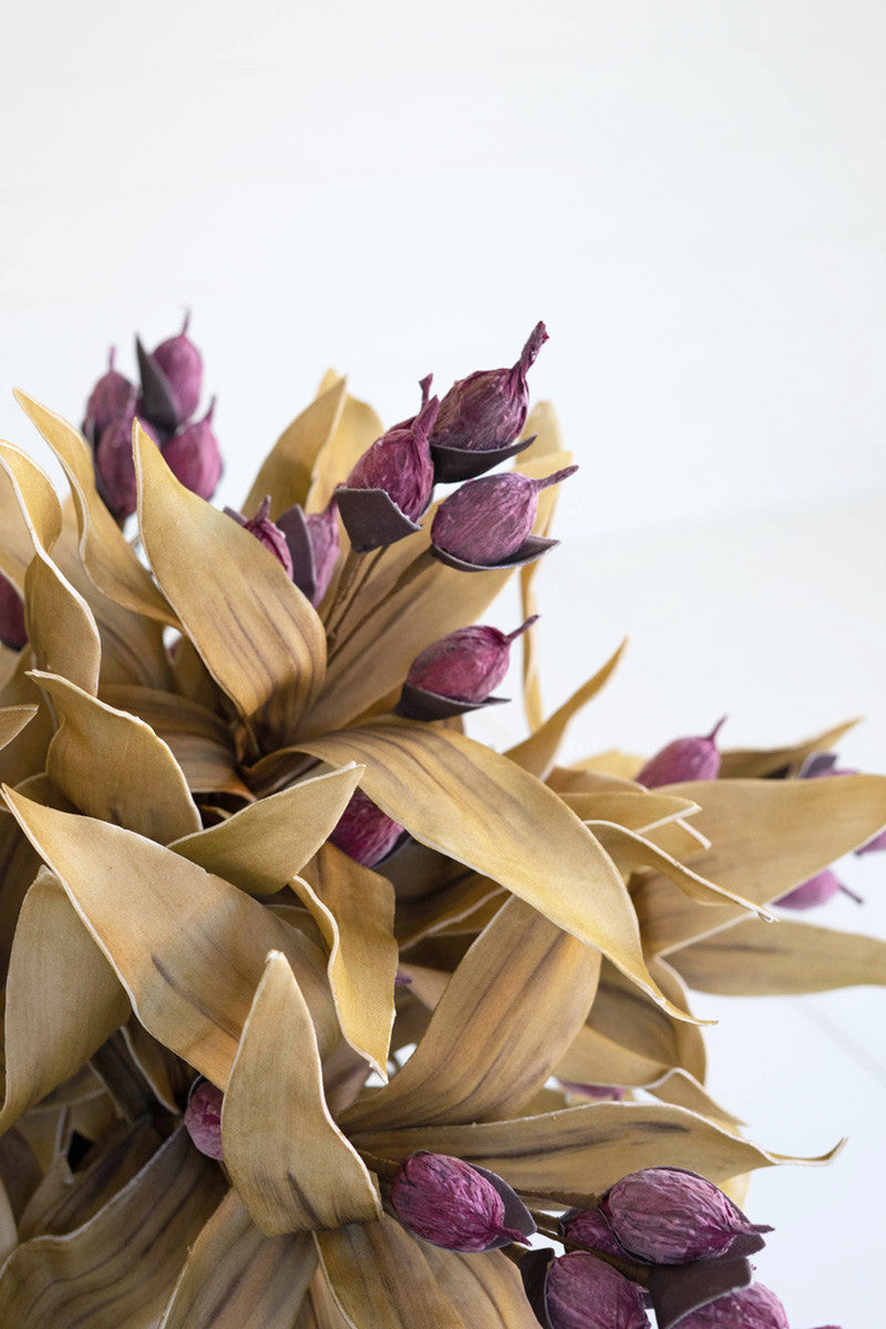 Purple Bud Stem