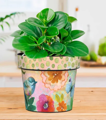 Faux Trailing Plant – Kennedy Sue Gift & Home