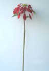 Faux Poinsettia Stem