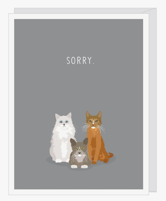 Sorry Cats Sympathy Card