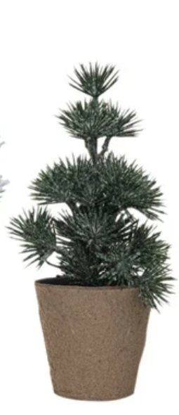 Snow/Frost Finish Faux Evergreen Tree in Paper Pot