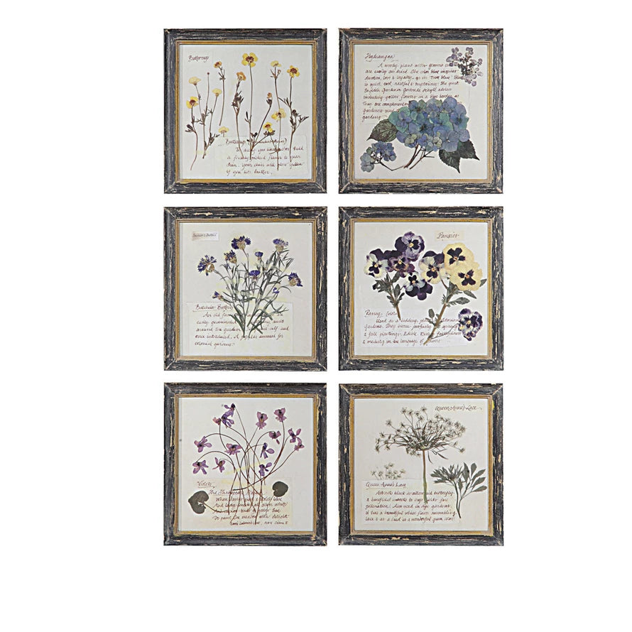 Floral Distressed Framed Wall Décor