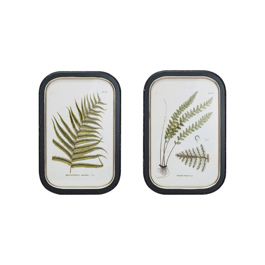 Framed Wall Décor with Fern Fronds