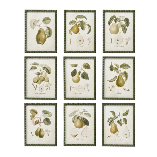 Vintage Fruit Print Wood Wall Decor