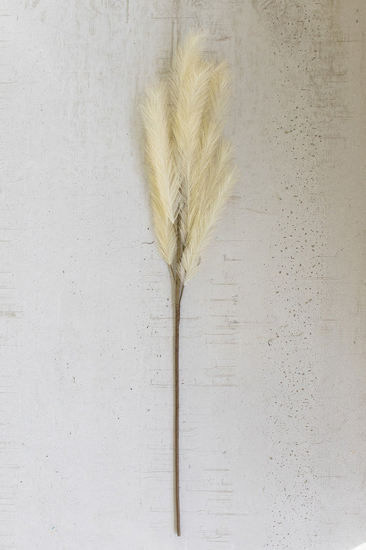 Pampas Stem