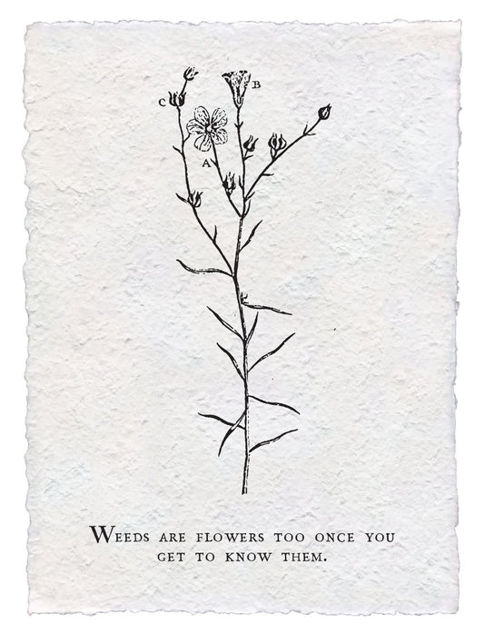 Weeds Are Flowers Too Paper Print