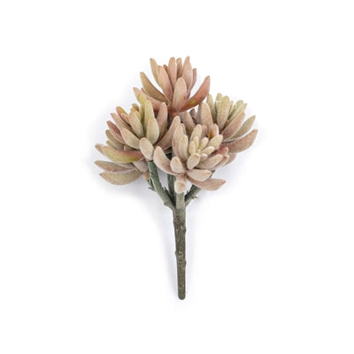 Pink & Orange Flocking Succulent Pick