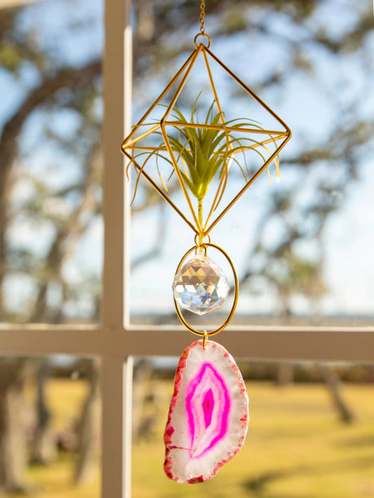 Magenta Agate Air Plant Sun Catcher