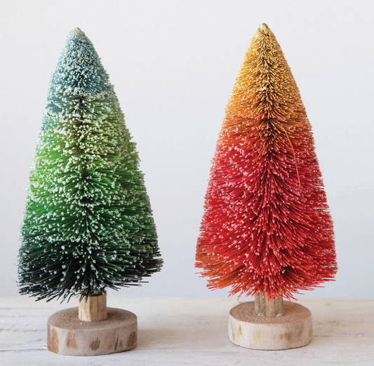 Ombre Bottle Brush Tree, Medium